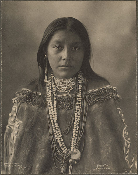 ᐈ 10 найбільших індіанських племен Америки - самі великі 2024