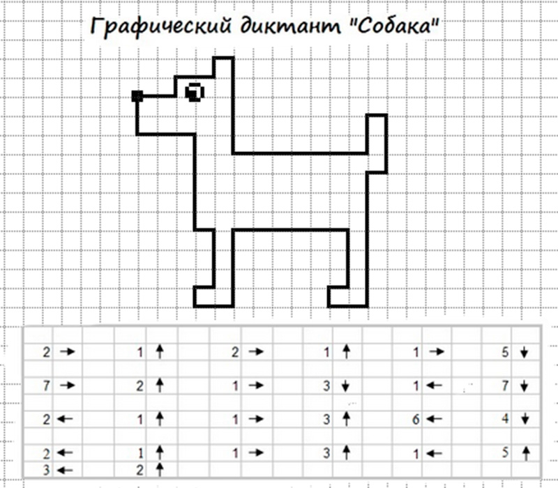 Графічний диктант - Тварини за клітинами.