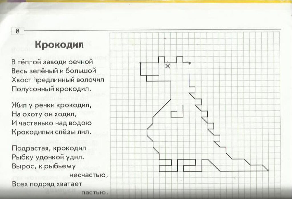 Графічний диктант - Тварини за клітинами.