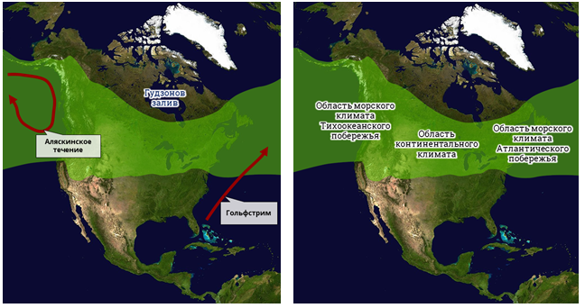 Клімат північної Америки - в яких поясах лежить Північна Америка