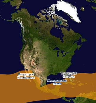 Клімат північної Америки - в яких поясах лежить Північна Америка