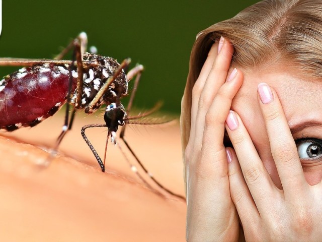 Укуси комарів - Як позбутися укусів комарів?