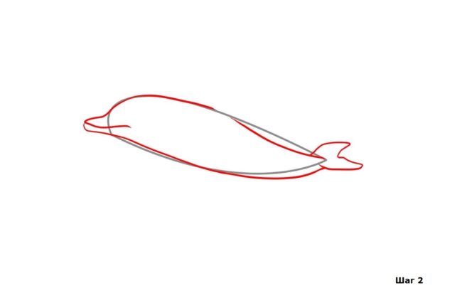 Як намалювати дельфіна - малюємо дельфіна поетапно різними способами
