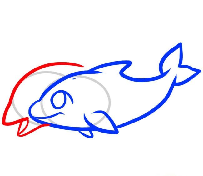 Як намалювати дельфіна - малюємо дельфіна поетапно різними способами