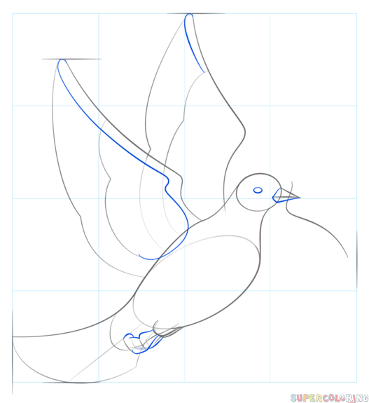 Як намалювати голуба - малюємо голуба поетапно різними способами
