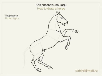 Як намалювати коня - малюємо коня олівцем поетапно