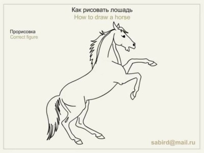 Як намалювати коня - малюємо коня олівцем поетапно
