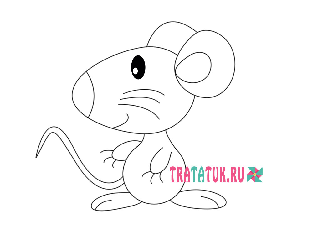 Як намалювати мишку - 5 способів малювання мишки