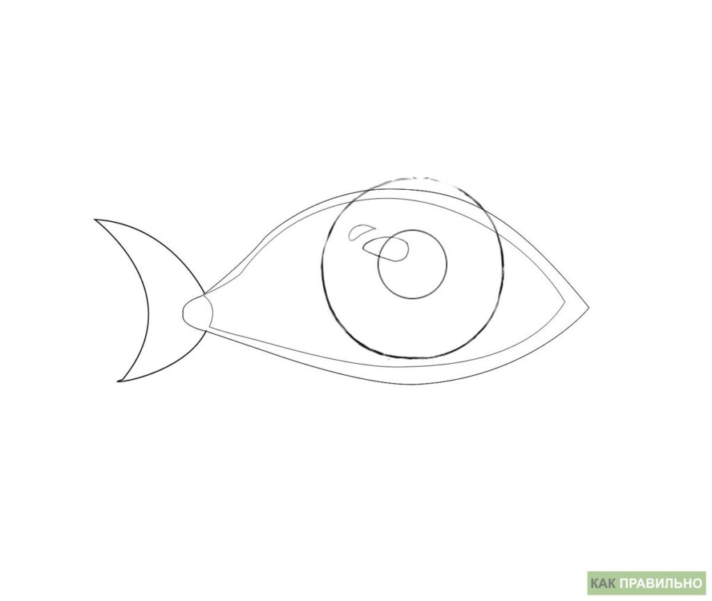 Як намалювати око - малюємо око поетапно