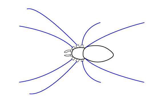 Як намалювати павука - малюємо павука поетапно, а також людину павука