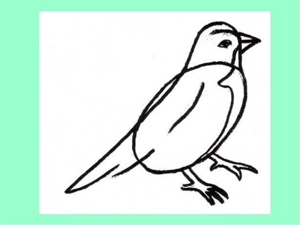 Як намалювати птаха - малюємо птаха поетапно