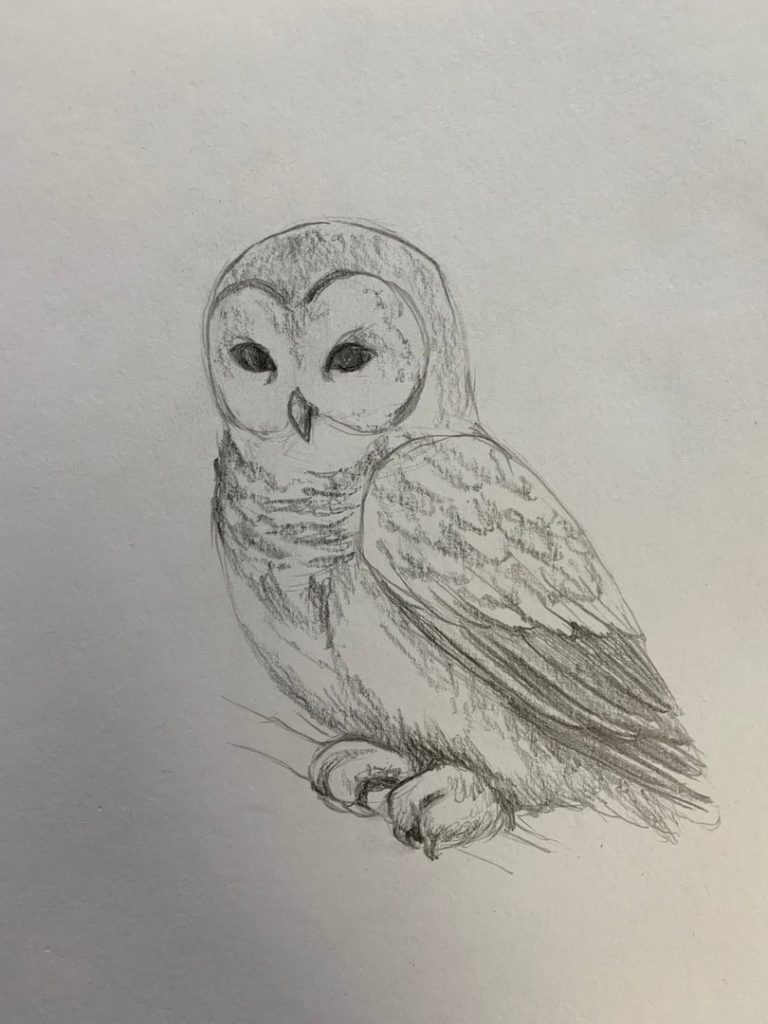 Як намалювати сову - малюємо сову поетапно