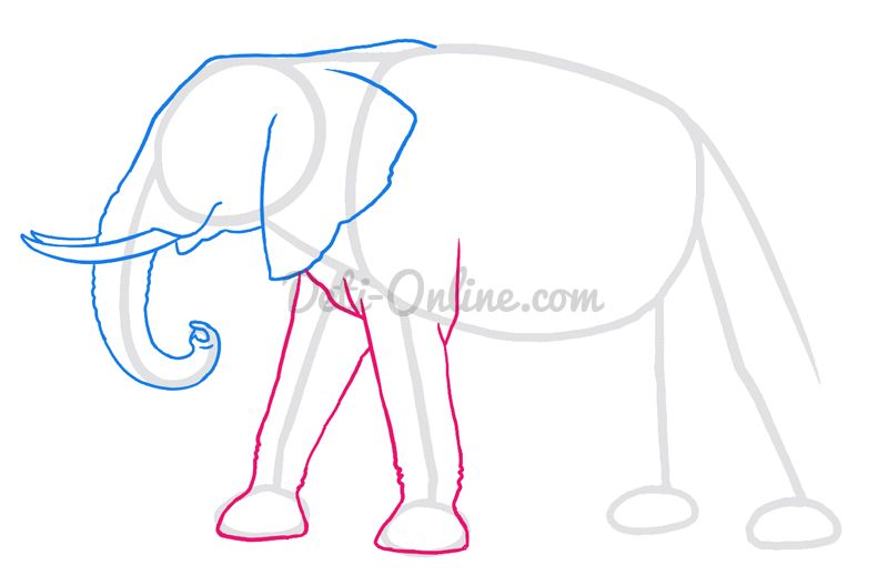 Як намалювати тварину - наводимо приклади малювання тварин