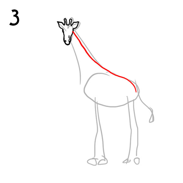 Як намалювати жирафа - малюємо жирафа поетапно