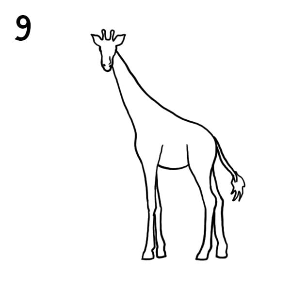 Як намалювати жирафа - малюємо жирафа поетапно