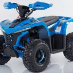 Діагностика підозрілих шумів при роботі двигуна електроквадроцикла