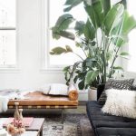 Роль використання живих рослин у сучасному дизайні інтер'єру